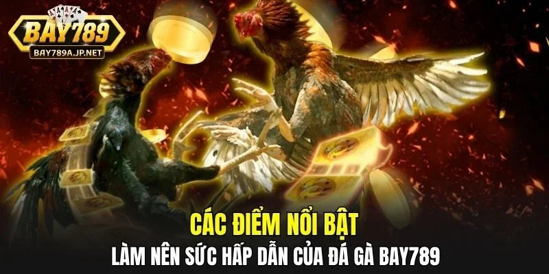 Các điểm nổi bật làm nên sức hấp dẫn của Đá Gà BAY789