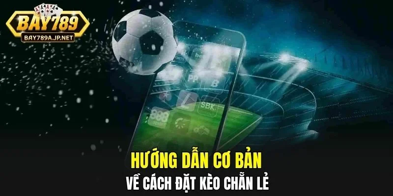 Hướng dẫn cơ bản về cách đặt Kèo Chẵn Lẻ