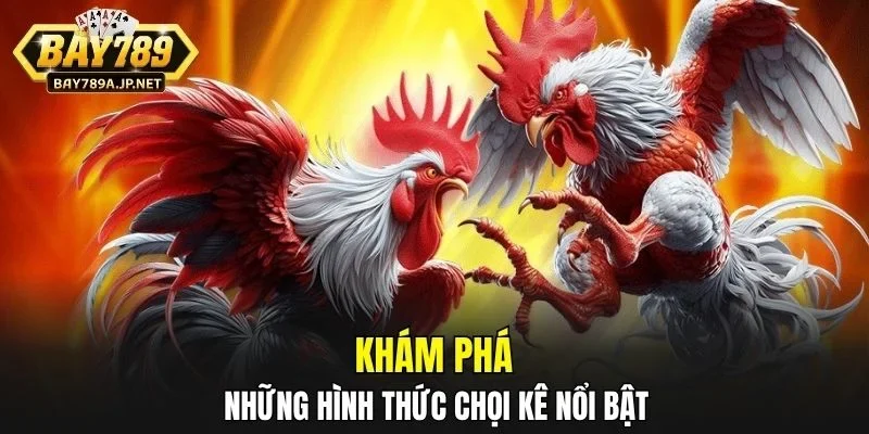 Khám phá những hình thức chọi kê nổi bật