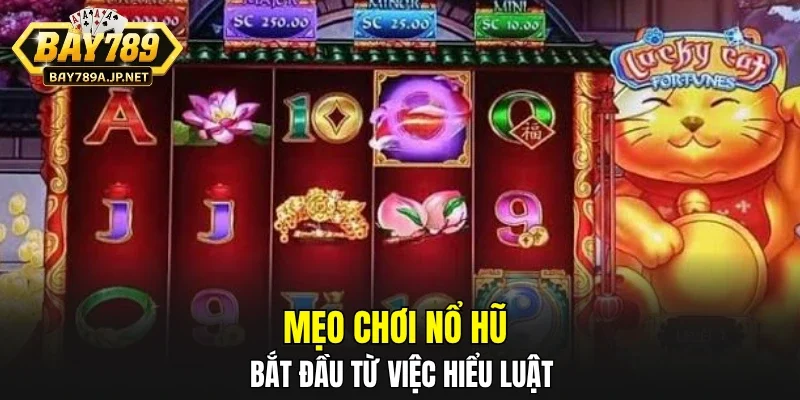 Mẹo chơi nổ hũ bắt đầu từ việc hiểu luật
