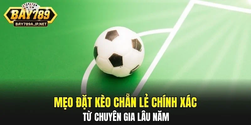 Mẹo đặt Kèo Chẵn Lẻ chính xác từ chuyên gia lâu năm