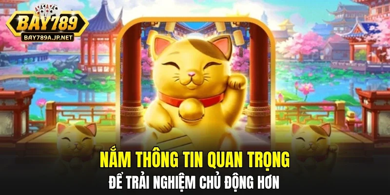 Nắm thông tin quan trọng để trải nghiệm chủ động hơn