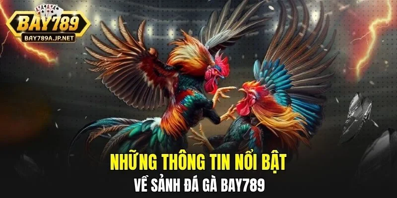 Những thông tin nổi bật về sảnh Đá Gà BAY789